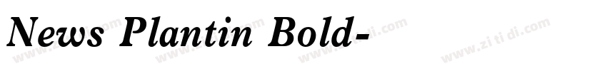 News Plantin Bold字体转换